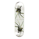 Polar Skate Co David Stenström Spider Deck – skateboard deck met Spider graphic van David Stenström