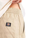 Bestel de Dickies MOUNT VISTA PANT snel, veilig en gemakkelijk bij Revert 95. Check onze website voor de gehele Dickies vcollectie.