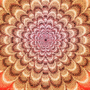 Bestel de Call Me 917 Trippy Deck veilig, gemakkelijk en snel bij Revert 95. Check onze website voor de gehele Call Me 917 collectie, of kom gezellig langs bij onze winkel in Haarlem.