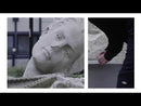Dickies Jamie Foy 826 Workpant videoclip