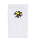 Bestel de Obey fruits socks veilig, gemakkelijk en snel bij Revert 95. Check onze website voor de gehele Obey collectie, of kom gezellig langs bij onze winkel in Haarlem.