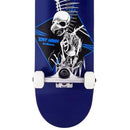 Stage 1 Full Skull 2