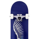 Stage 1 Full Skull 2