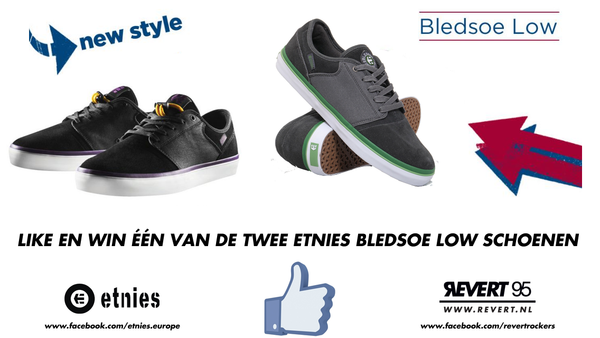 Etnies Bledsoe Low schoenen