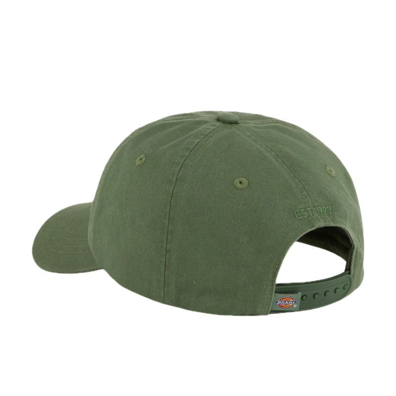 Dickies Hardwick Cap Sea Spray – groene dad cap van katoen met 6-panel design, gebogen klep en geborduurd Dickies-logo