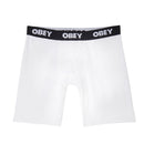 Established work 2 pack boxers