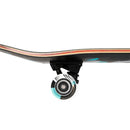 Birdhouse Complete Stage 3 Noir Logo skateboard met zwarte graphic en complete setup