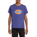 Dickies Youth Logo Tee Skipper Blue – kinder T-shirt in blauwe kleur met regular fit en groot Dickies-logo op de borst