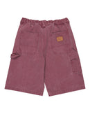 Element Kids Big Carpenter Short met utility zakken