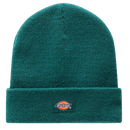 Dickies GIBSLAND Beanie Ponderosa Pine voorkant