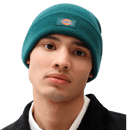 Dickies GIBSLAND Beanie Ponderosa Pine voorkant man